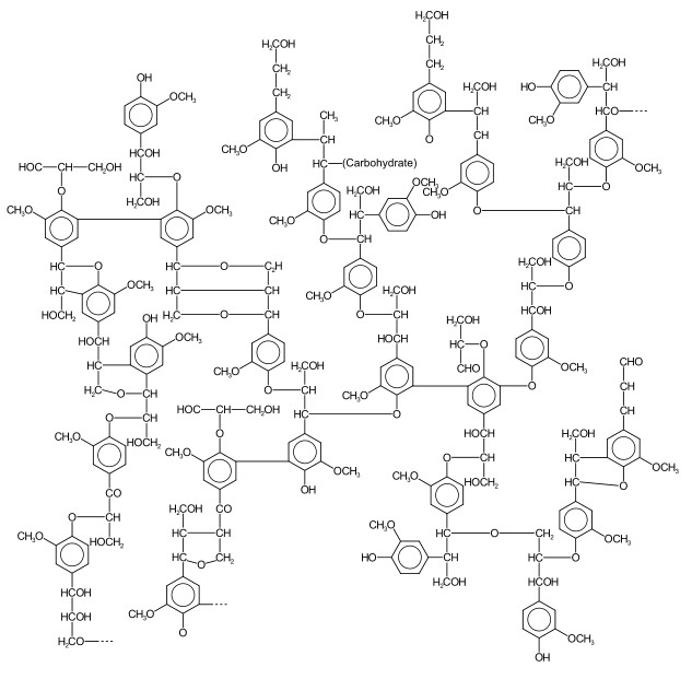 Lignin