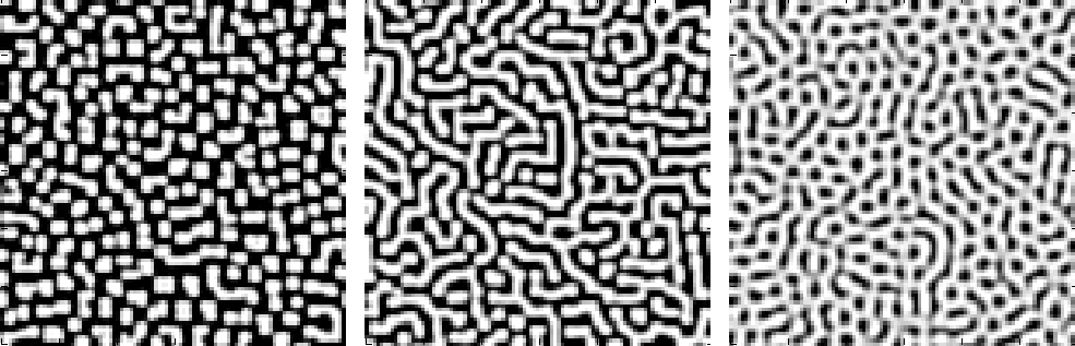 turingpatterns