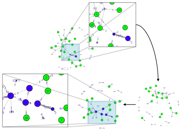 systems chemistry